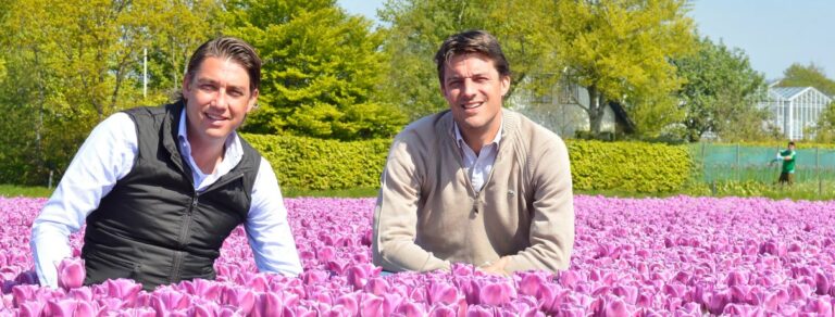 DutchGrown™ Autumn Bulb Guide: Tulips and Daffodils for Spring DutchGrown growers in a garden setting