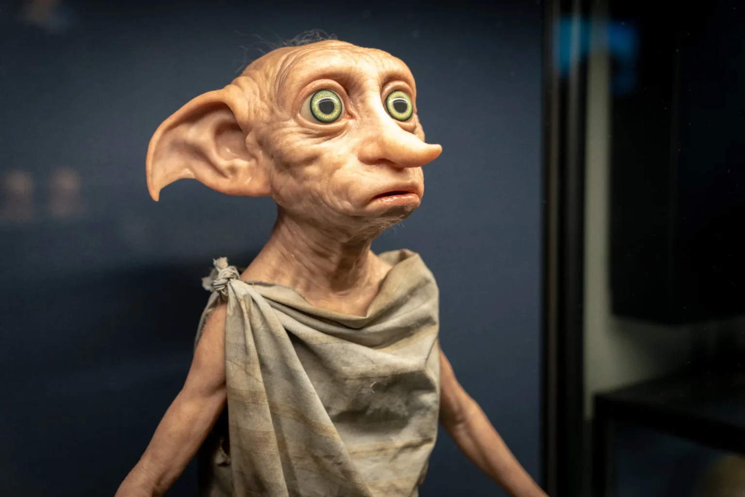 Dobby creature display at the studio tour